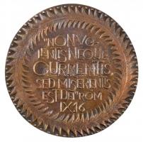 DN "Pro Pannonia Reformata 1612 - Non volentis neque currentis sed miserentis est dei - Rom IX....