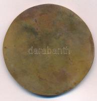 DN "Weöres Sándor plakett" Br plakett. Szign.: K
(66,5mm) T:2