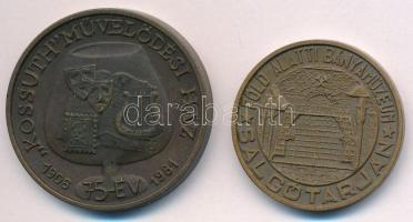 DN "ÜM. Öblösüveggyár Salgótarján / Kossuth Művelődési Ház 1906-1981" kétoldalas Br emléké...