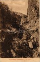 Szinyelipóc, Lipovce; völgy, kis vízesés. A m. Kárpátegyesület eperjesi osztályának kiadása / valley, waterfall