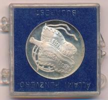 Csúcs Viktória (1934-) DN "Petőfi Sándor" ezüstözött emlékérem eredeti ÁPV plasztiktokban ...