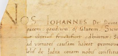 1461 Arbe (ma: Rab, Horvátország), Giovanni de Dominis arbei palotagróf (comes palatinus) a zárai Be...