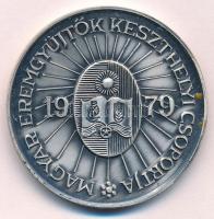 Képíró Zoltán (1944-1981) 1979. MÉE "25 éves Keszthely város" ezüstpatinázott Br emlékérem...