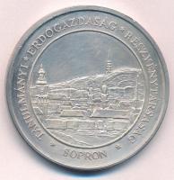 DN Tanulmányi Erdőgazdaság Részvénytársaság - Sopron / TAEG RT. ezüstözött fém emlékérem (42,5mm) T:2