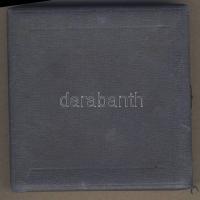 Régi Br galambverseny díjérem T:2 Díszdobozban!