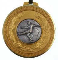 8db-os vegyes emlékérem tétel, közte DN "A környezet védelméért", 1974. A Magyar Rádió fut...