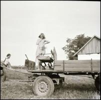 Kedves teremtések, szolidan erotikus felvételek, 10 db vintage negatív + 2 db mai nagyítás, amelyek ...