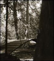 Menesdorfer Lajos (1941-2005) budapesti fotóművész hagyatékából, 13 db vintage negatív, amelyek külö...