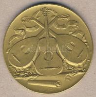 Hollandia 1927. zenei témájú, nagylakú Br díjérem T:2 k. ph.