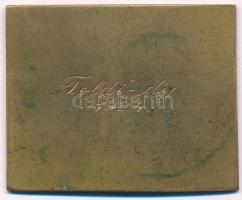 Reményi József (1887-1977) 1923. "Budapesti Budai Torna Egylet 1869" Br sport díjplakett, ...