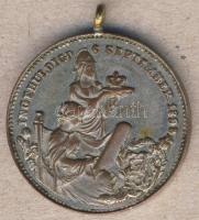 Hollandia 1898. "Wilhelmina" trónralépése alkalmából kiadott Zn koronázási zseton T:2 f