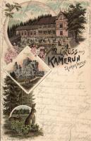 1898 Kamerun Litho