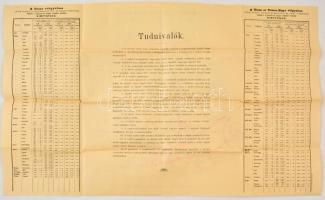 1899 Jelentékenyebb folyóink vízjárásának átnézete. Vízrajzi térkép, hátoldalán a Duna és a Tisza le...