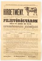 1896 Pest-Pilis-Solt-Kiskun vármegye gazdasági egyesületének hirdetménye szarvasmarha tenyésztési jutalomdíjazásról 31x54 cm.
