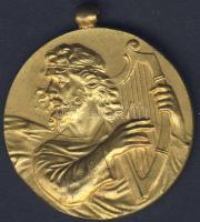 Hollandia 1951. Zenei díjérem aranyozva T:2 f.