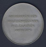 Hollandia 1976. "25 éves jubileum-A Gyűjtő Egyesület" nagyalakú Ffém plakett T:2