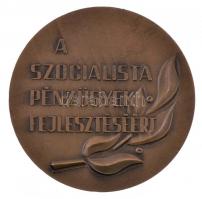 DN "Lengyel Gyula / A szocialista pénzügyek fejlesztéséért" Br plakett (80mm) T:1-