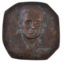 Takács Erzsébet (1928- ) DN Oláh Sándor 1913-1943 egyoldalas Br plakett (108x108mm) T:2 patina