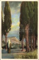 Nazareth s: Hollós (EK)