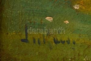 Olvashatatlan jelzéssel: Táj, öreg fával. Olaj, vászon, kis lyukkal Jelzett. Keretben. 42x35 cm