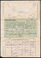 1921 Balassagyarmat, vadászati jegy, fénykép nélkül / hunter ticket, without photo