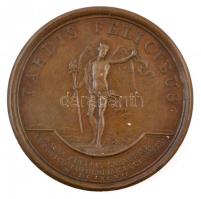 Franciaország 1697. "XIV. Lajos / Taedis felicibus" utánveret Br emlékérem. Szign.: J. Mau...