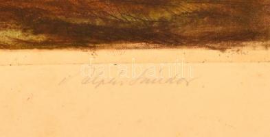 Alpár Sándor (1935-2004): Hazatérés a vásárról, színezett rézkarc, papír, jelzett, üvegezett fa kere...