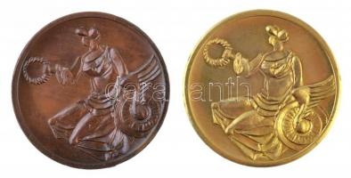 ~1970. "BKV Hűségérem" aranyozott Br érem dísztokban (36mm) + "BKV Hűségérem" Br...