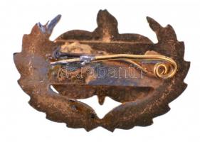 ~1970. "Magyar-Szovjet Baráti Társaság" zománcozott, aranyozott jelvény, eredeti tokban (2...