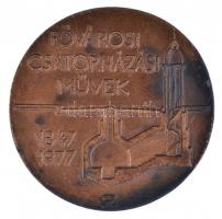 1979. &quot;Fővárosi Csatornázási Művek / Kiváló Vállalat&quot; Br emlékérem, dísztokban (59mm) T:2 patina