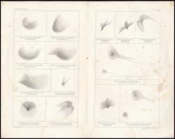 cca 1860 8 db csillagászattal kapcsolatos metszet. 27x22 cm