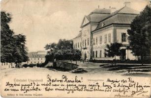 1902 Ungvár, Uzshorod, Uzhorod; Vármegyeháza. Székely és Illés kiadása / county hall (EK)