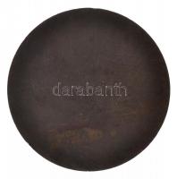 Sidló Ferenc (1882-1953) 1929. "A Stephaneum Igazgatósága És Tisztviselői - Kohl Ferencz Érdeme...