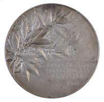 Telcs Ede (1872-1948) 1906. "Gróf Andrássy Gyula / Szoboremlékének lepelhullása alkalmából 1906...