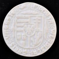 DN "II. Ulászló guldiner 1499" porcelán emlékérem (40mm) T:1