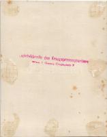 Osztrák-magyar haditengerészet torpedónaszádja teljes gőzzel előre halad / K.u.K. Kriegsmarine Öst-U...