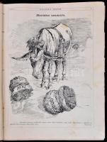 1888 A Bolond Istók szatirikus lap teljes XI. évfolyama  korabeli félvászon kötésben