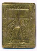 2008. "Budapest - Megyeri Híd - Hídpénz" Cu lemezérem T:2