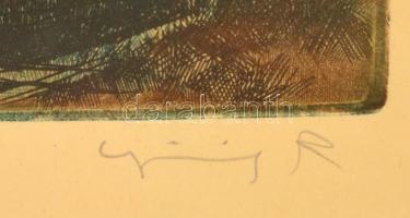 Görög Rezső (1930- ): Tó part. Színes rézkarc, papír, jelzett, üvegezett fa keretben, 22×33 cm