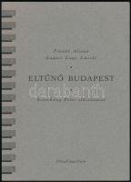 Frankl-Lugossi Lugo-Esterházy: Eltűnő Budapest 1994 Városháza. Kiadói papírborítóban
