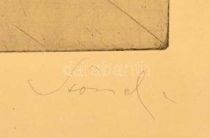 Olvashatatlan jelzéssel: Törpe snaucer. Színezett rézkarc, papír, üvegezett keretben, 25×21 cm