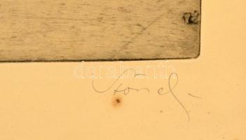 Olvashatatlan jelzéssel: Dobermann. Színezett rézkarc, papír, üvegezett keretben, 30×23 cm