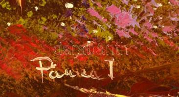 Pancza Ildikó (1984-): Napkelte. Olaj, farost, jelzett, keretben, 24×48 cm