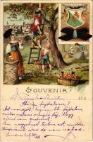 1899 Frauenfeld, Souvenir Cacao Suchard / Swiss chocolate advertisement, Thurgovie coat of arms and folklore. Art Nouveau, floral, litho (fa)