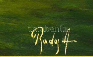 Rados Andor (?-): Erdős táj. Olaj, vászon, jelzett, keretben, 36×145 cm