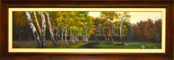 Rados Andor (?-): Erdős táj. Olaj, vászon, jelzett, keretben, 36×145 cm