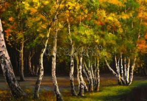 Rados Andor (?-): Erdős táj. Olaj, vászon, jelzett, keretben, 36×145 cm