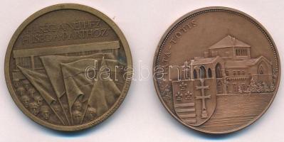 Bozó Gyula (1913-2004) 1993 "X. Mini marathon / Tata" Br emlékérem (42mm) + Lapis András (...