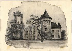 1940 Nagykároly, Carei; Gróf Károlyi kastély / castle + 1940 Nagykároly visszatért So. Stpl