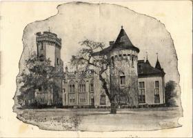 1940 Nagykároly, Carei; Gróf Károlyi kastély / castle + "1940 Nagykároly visszatért" So. Stpl